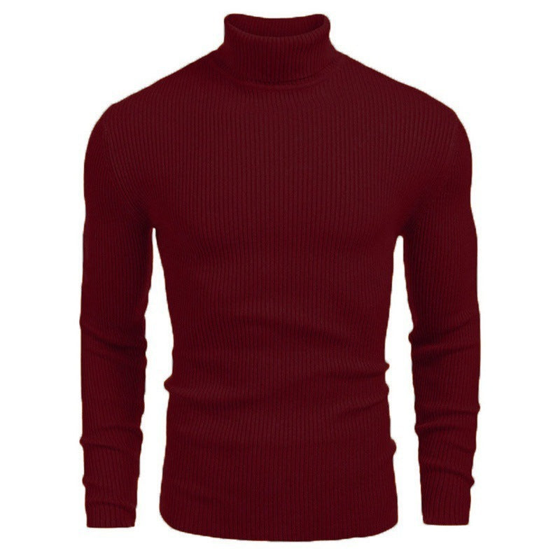 Pull à col roulé slim fit à manches longues pour homme