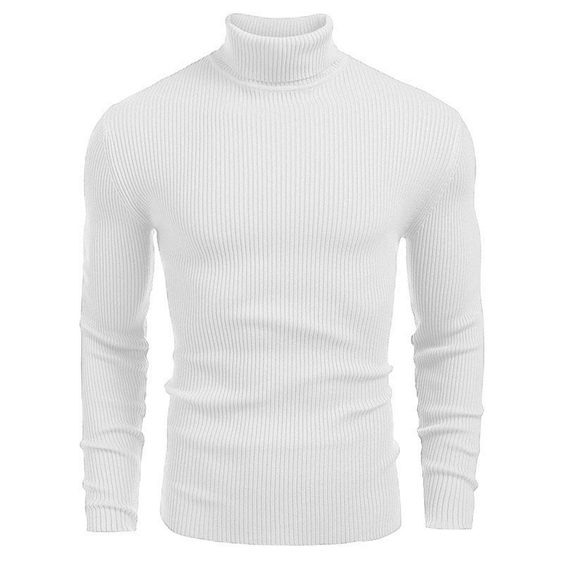 Pull à col roulé slim fit à manches longues pour homme